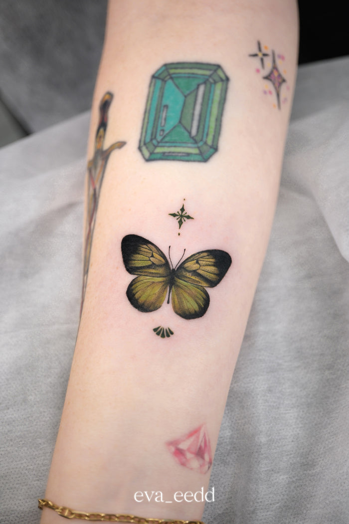 New Chinese Color Butterfly Project I020