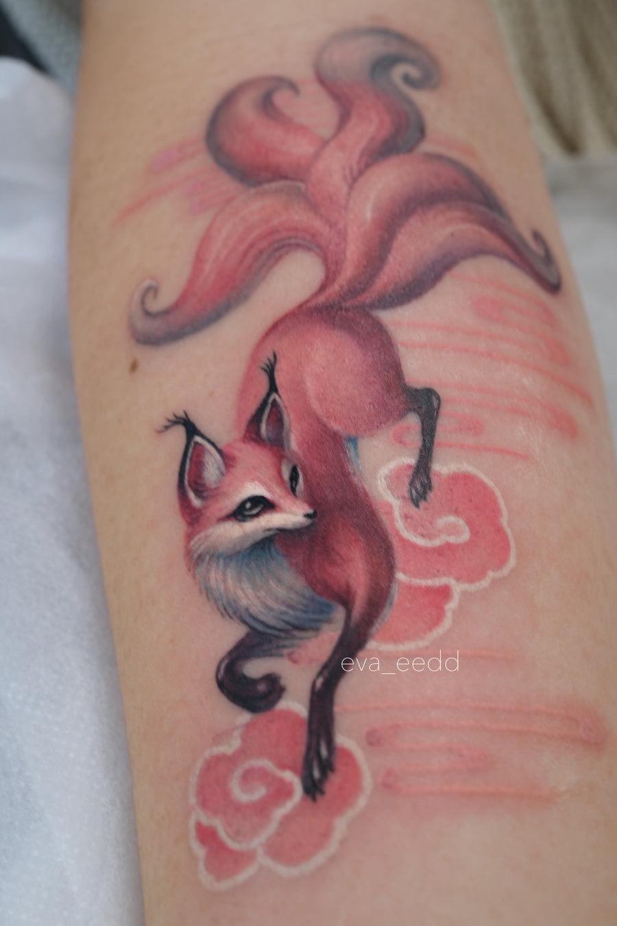 New Chinese Color Animal Project I028
