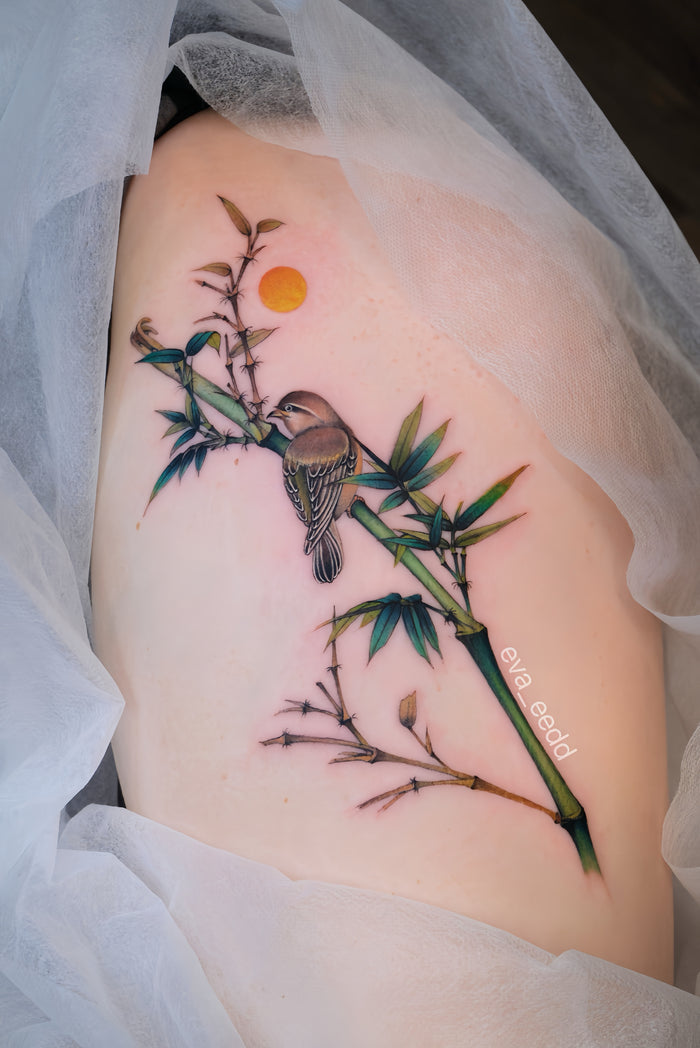 New Chinese Color Bird Project I077