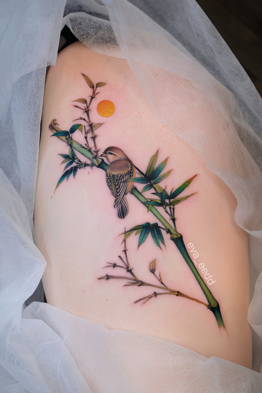 New Chinese Color Bird Project I077