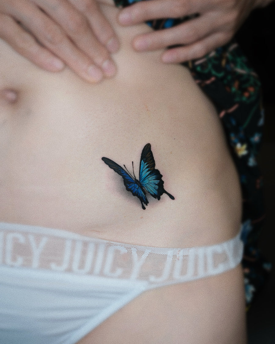 Color Realism Butterfly