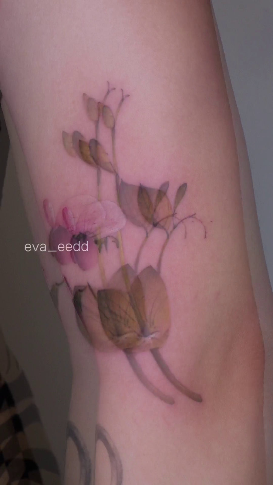 New Chinese Color Flower Project V004