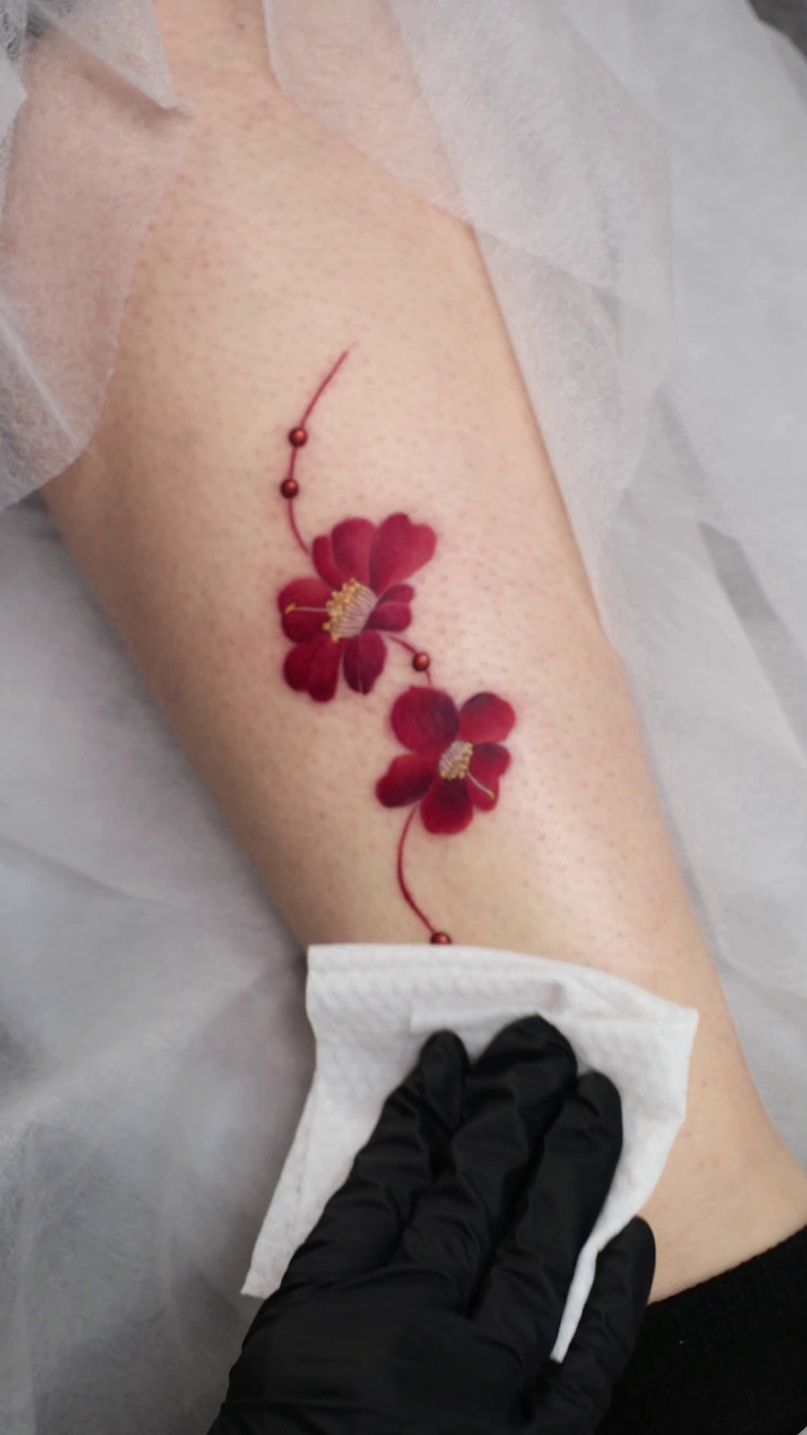 New Chinese Color Flower Project V015