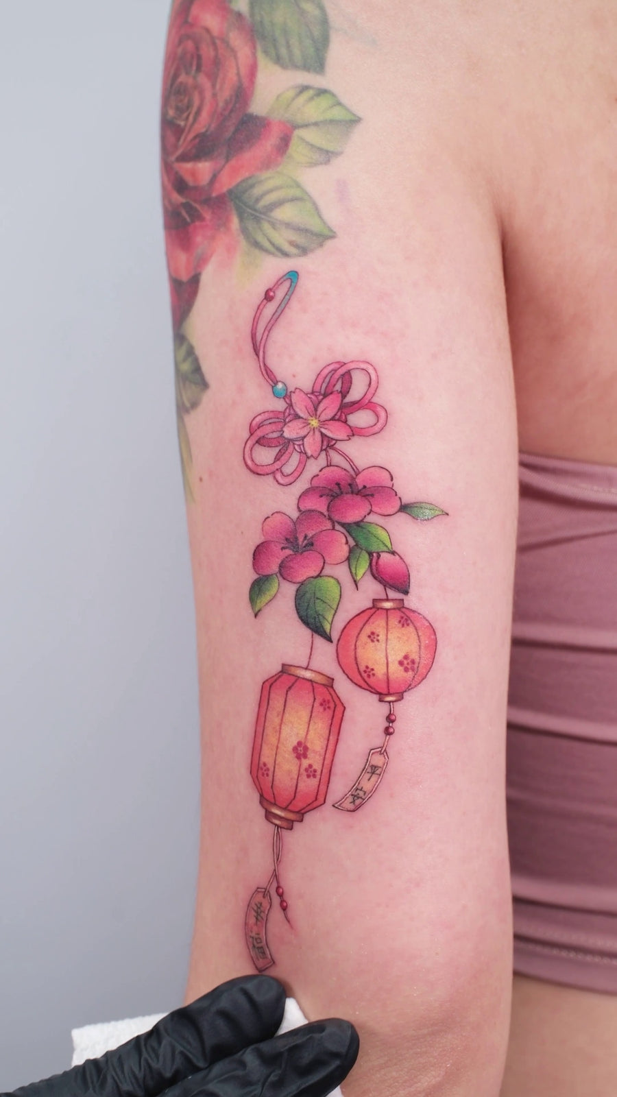New Chinese Color Fruit Project V016