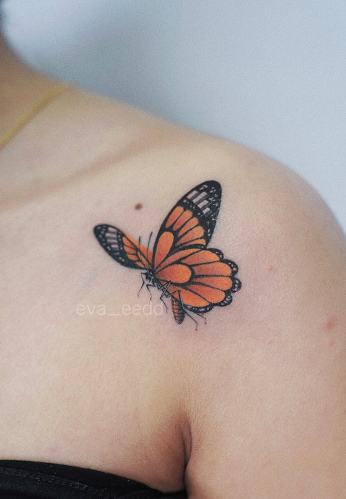 New Chinese · Butterfly · Color