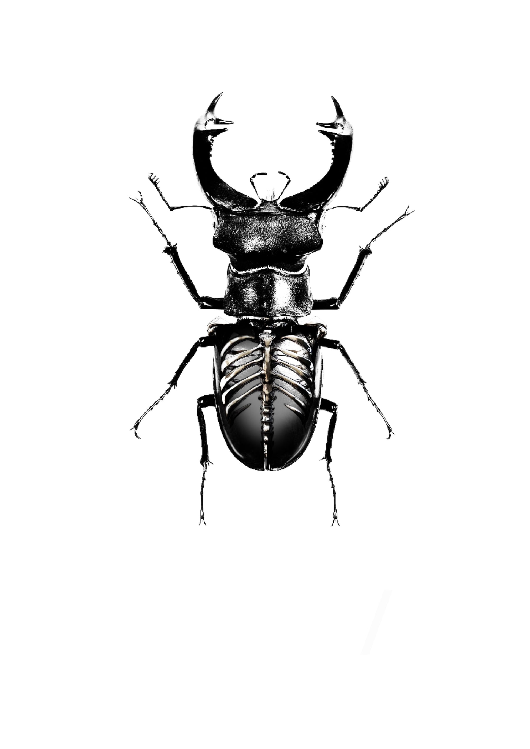 Stag beetle with an anatomical ribcage abdomen, Stanley flash tattoo design