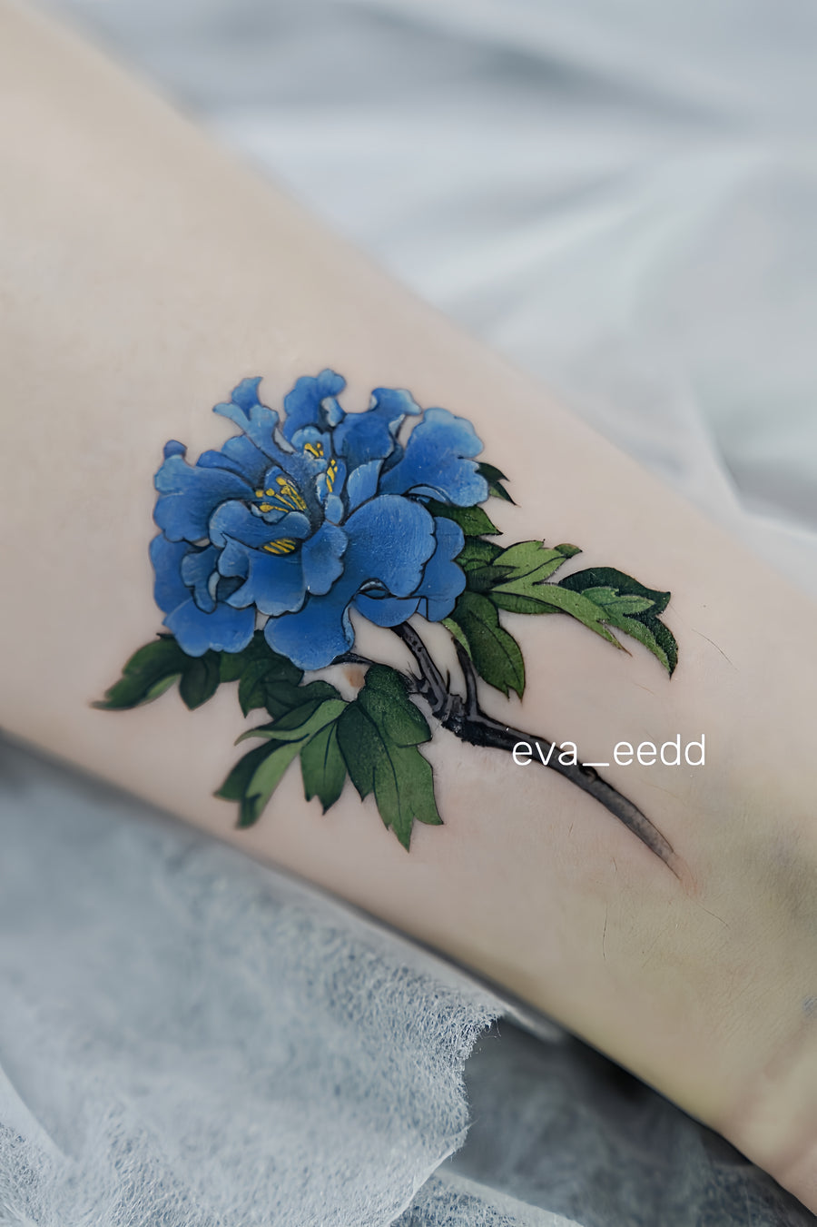 New Chinese Color Flower Project I038