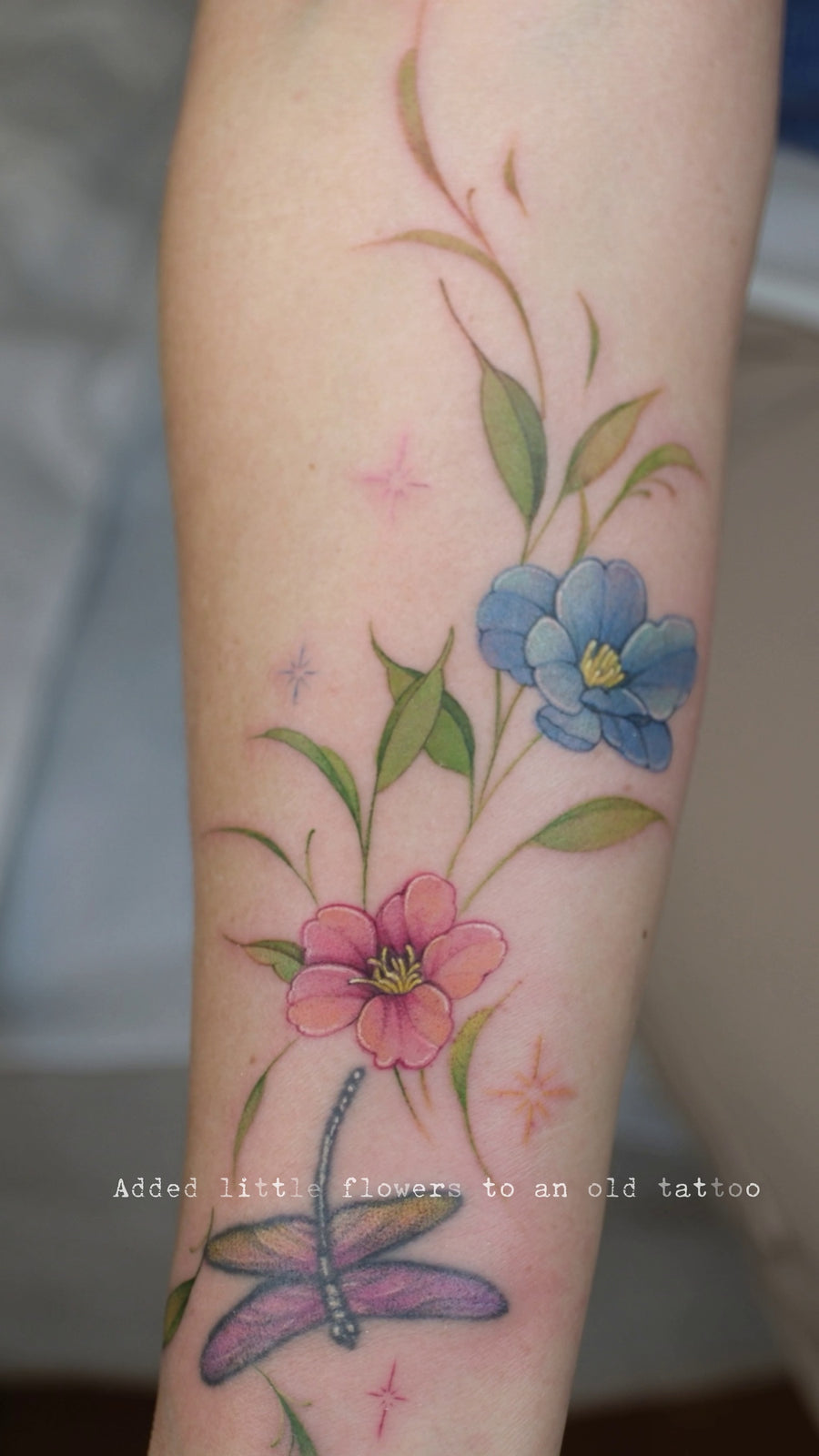 New Chinese Color Flower Project V028