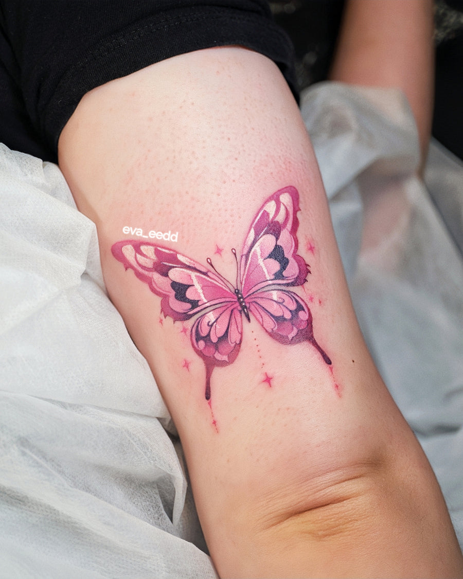 New Chinese Color Butterfly Project I078