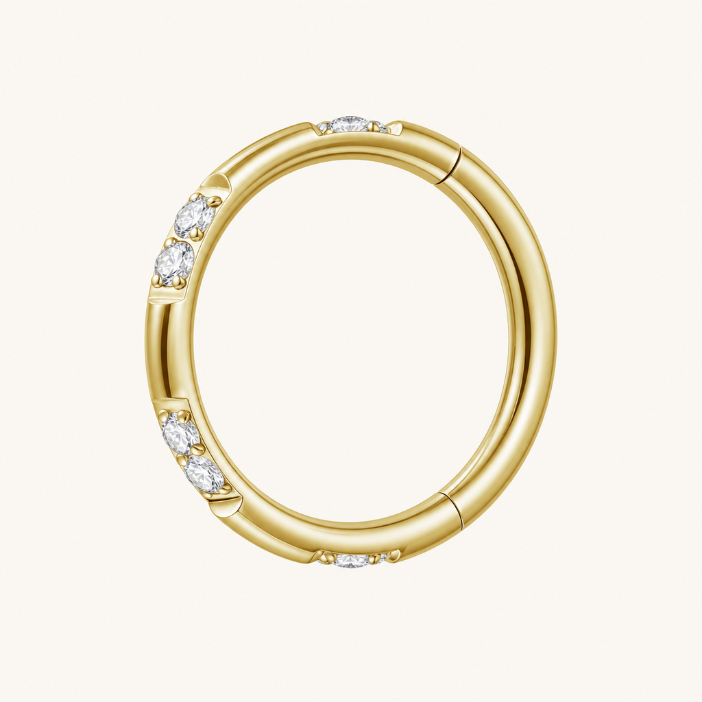 Clear CZ ASTM F136 Titanium Segment Ring - Gold, 16G, 1.2 x 8 mm — primary product image (P-SR-0044-G01)