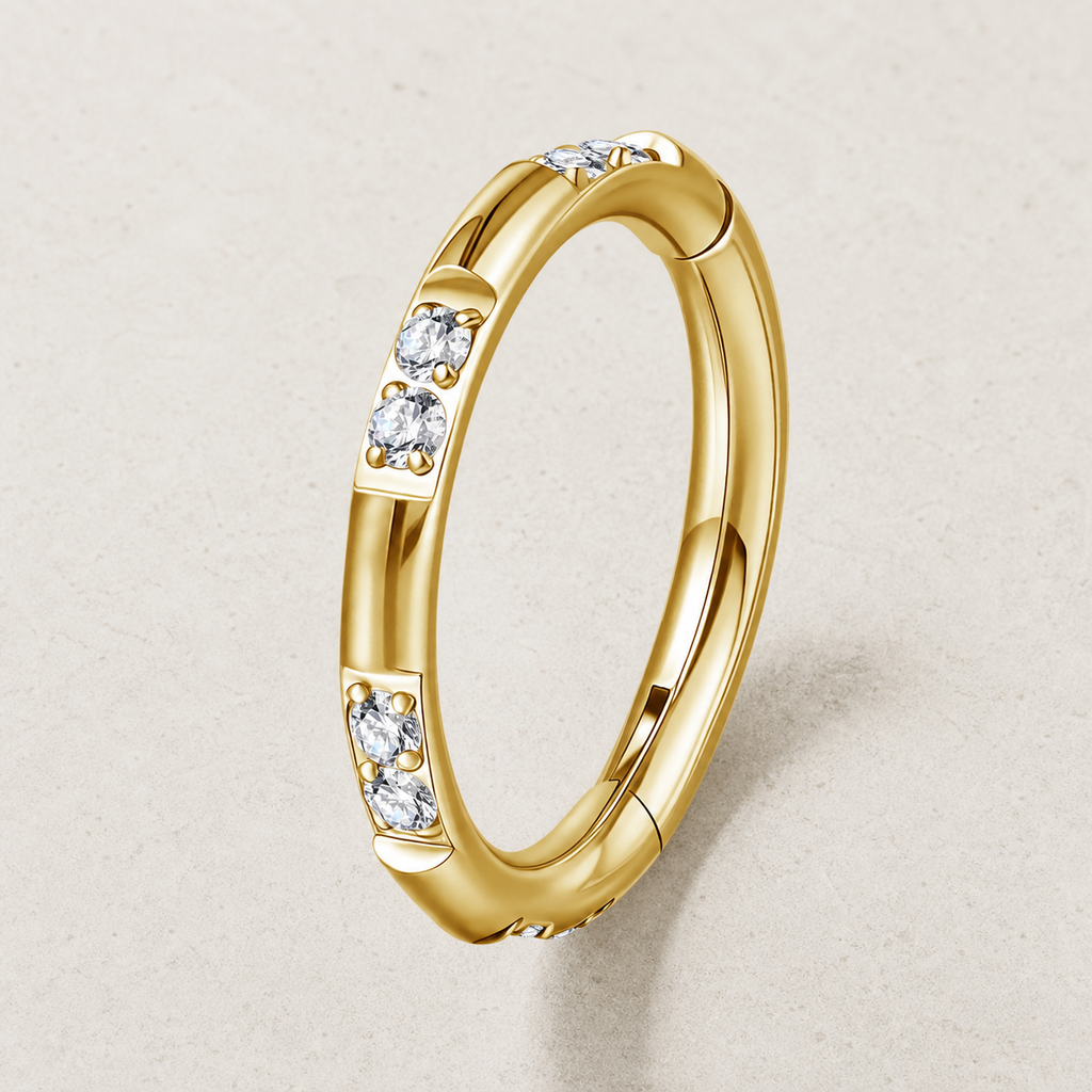 Clear CZ ASTM F136 Titanium Segment Ring - Gold, 16G, 1.2 x 8 mm — styled flat lay (P-SR-0044-G01)