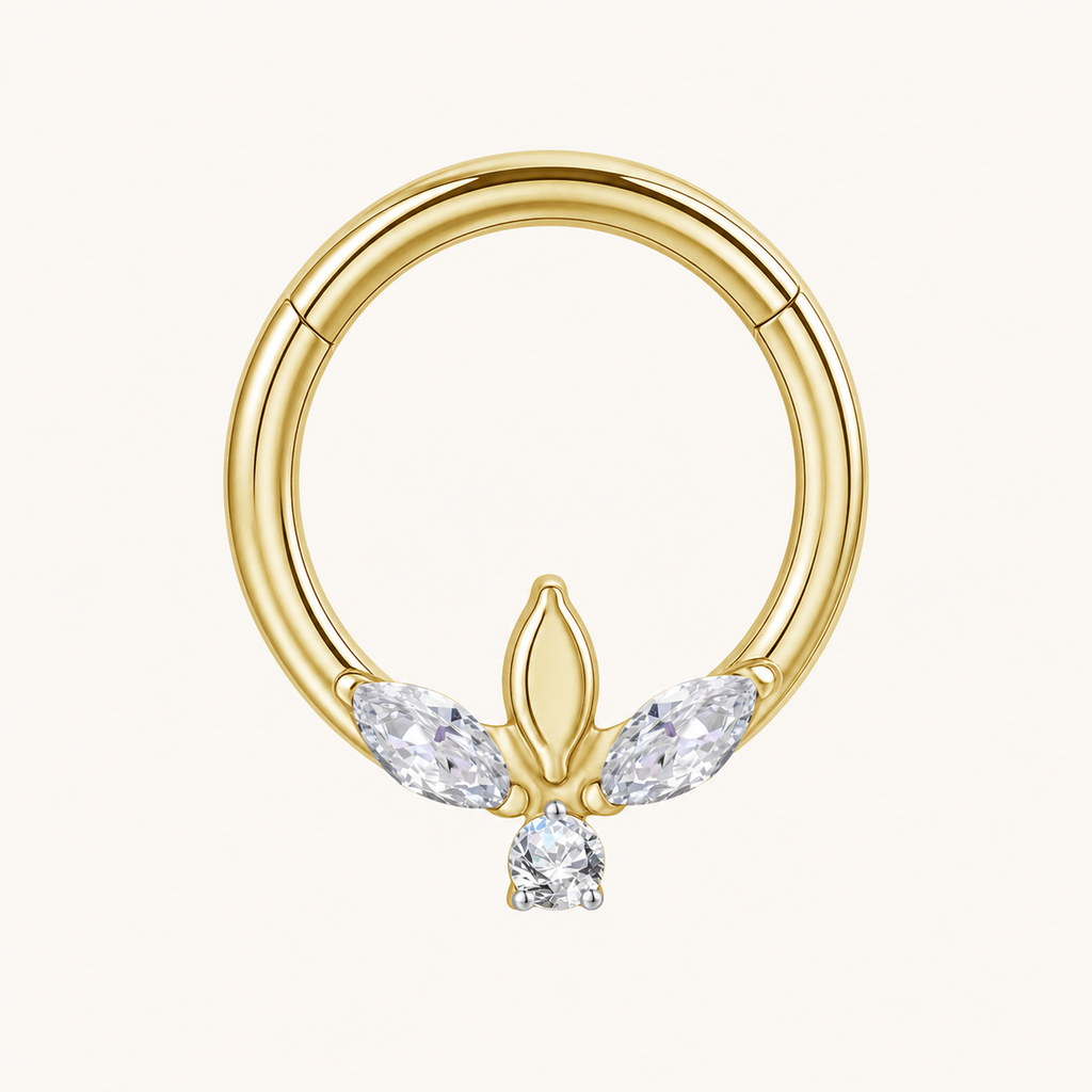 Clear CZ ASTM F136 Titanium Segment Ring - Gold, 16G, 1.2 x 8 mm — primary product image (P-SR-0048-G01)