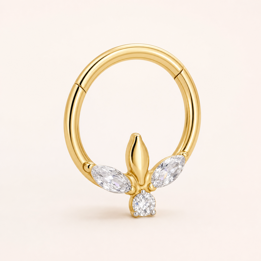 Clear CZ ASTM F136 Titanium Segment Ring - Gold, 16G, 1.2 x 8 mm — primary product image (P-SR-0048-G01)