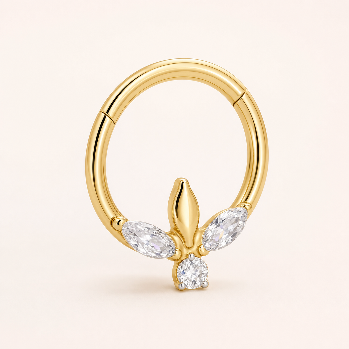 Clear CZ ASTM F136 Titanium Segment Ring - Gold, 16G, 1.2 x 8 mm — primary product image (P-SR-0048-G01)