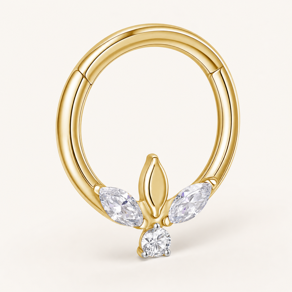 Clear CZ ASTM F136 Titanium Segment Ring - Gold, 16G, 1.2 x 8 mm — product detail views (P-SR-0048-G01)