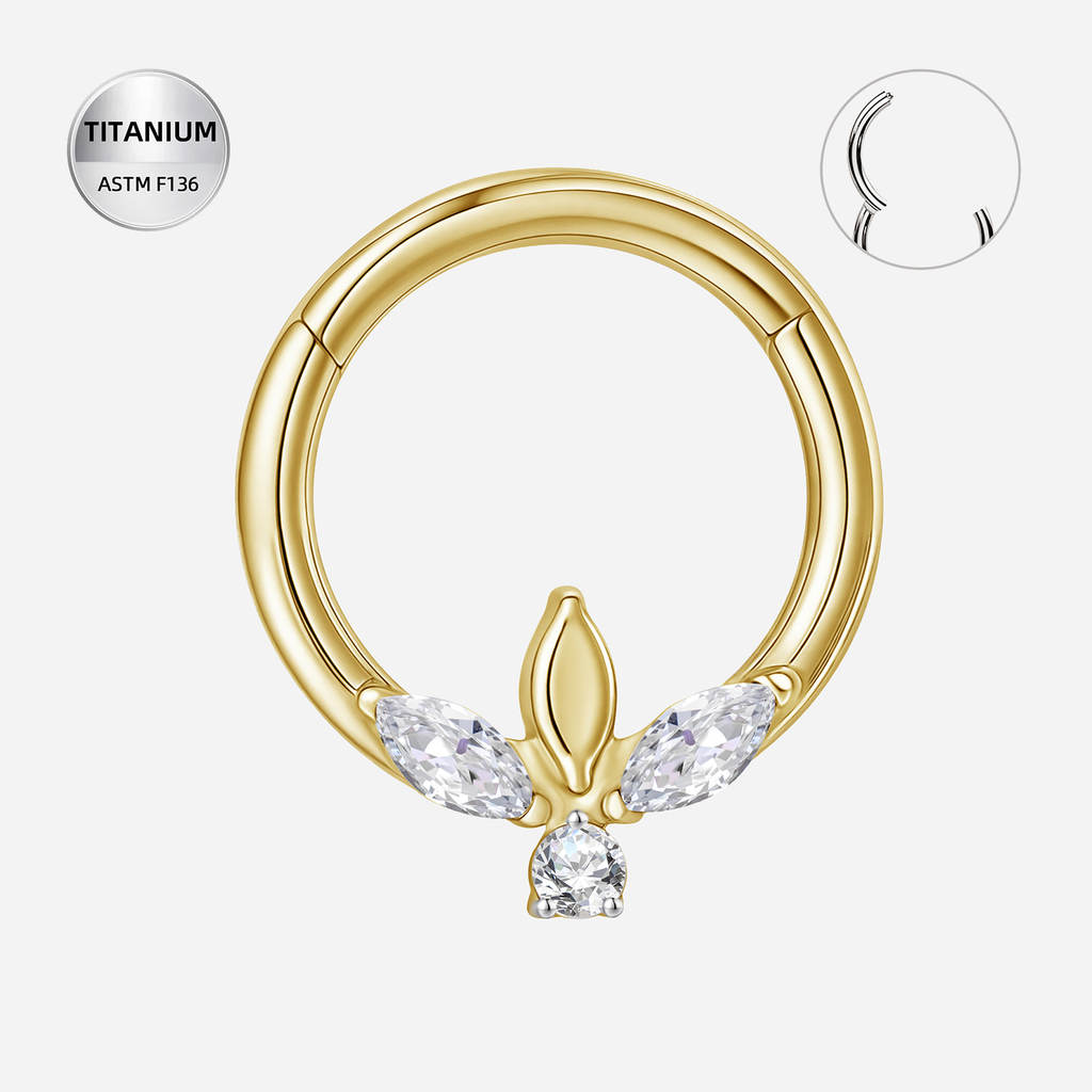 Clear CZ ASTM F136 Titanium Segment Ring - Gold, 16G, 1.2 x 8 mm — product detail views (P-SR-0048-G01)