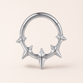 ASTM F136 Titanium Segment Ring - Silver, 16G, 1.2 x 8 mm — primary product image (P-SR-0057-S01)