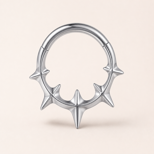 ASTM F136 Titanium Segment Ring - Silver, 16G, 1.2 x 8 mm — primary product image (P-SR-0057-S01)