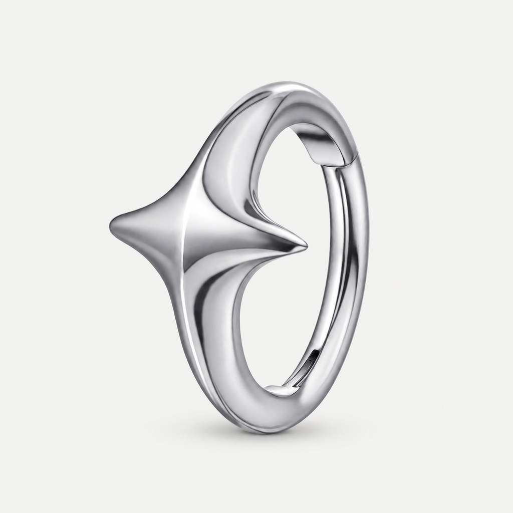 ASTM F136 Titanium Segment Ring - Silver, 16G, 1.2 x 8 mm — primary product image (P-SR-0059-S01)