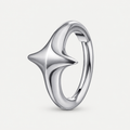 ASTM F136 Titanium Segment Ring - Silver, 16G, 1.2 x 8 mm — primary product image (P-SR-0059-S01)
