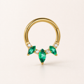 Green ASTM F136 Titanium Segment Ring - Gold, 16G, 1.2 x 8 mm — primary product image (P-SR-0067-G01)
