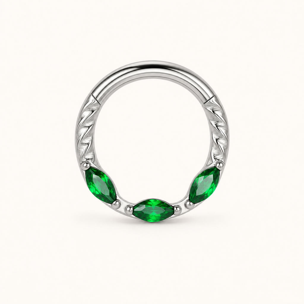 Green ASTM F136 Titanium Segment Ring - Silver, 16G, 1.2 x 8 mm — primary product image (P-SR-0068-S01)
