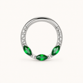 Green ASTM F136 Titanium Segment Ring - Silver, 16G, 1.2 x 8 mm — primary product image (P-SR-0068-S01)