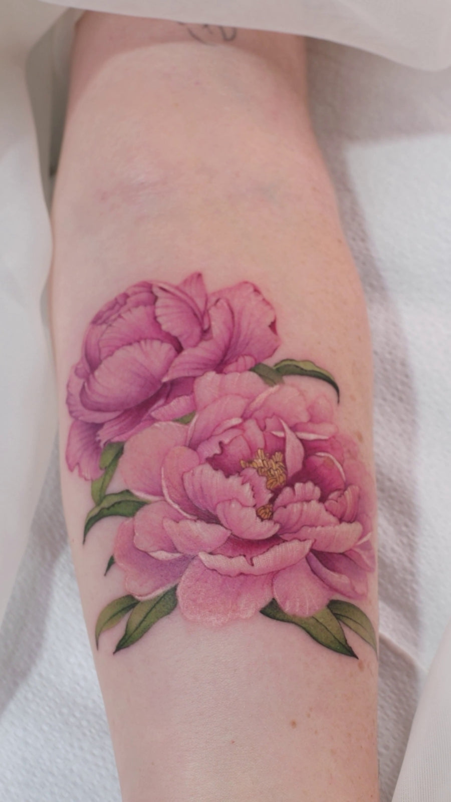 New Chinese Color Flower Project V043