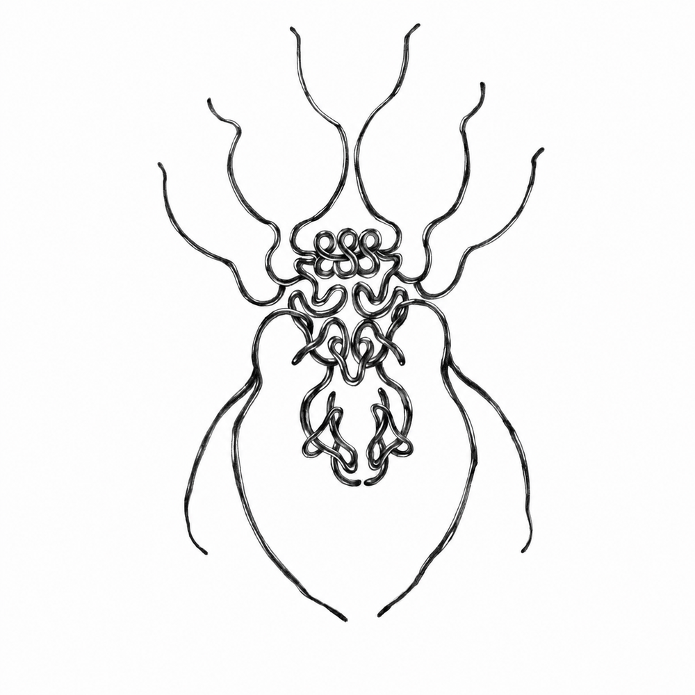 Knotted Beetle — Danski Flash — enlarged artwork