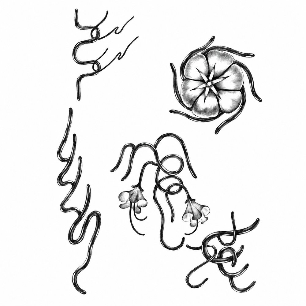 Florals & Line Symbols — Danski Flash Sheet — enlarged artwork