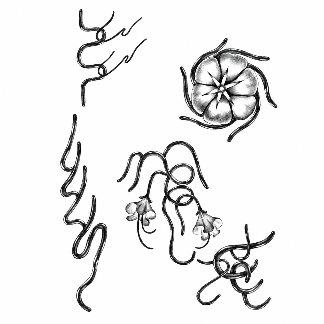 Florals & Line Symbols — Danski Flash Sheet — enlarged artwork