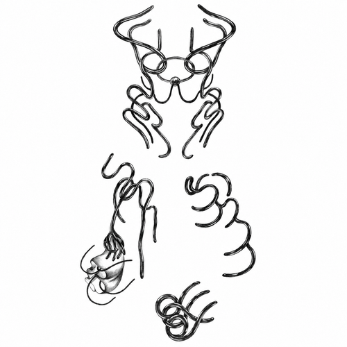 Animal & Floral Symbols — Danski Flash Sheet — enlarged artwork