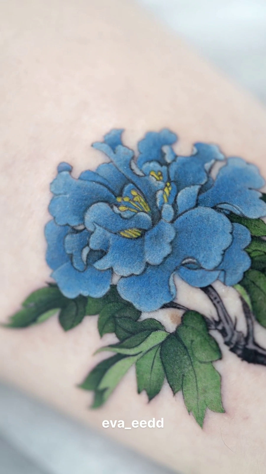 New Chinese Color Flower Project V021