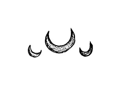 Blackwork Mini Flash 010