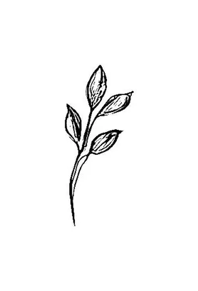 Blackwork Mini Flash 011