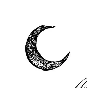 Blackwork Mini Flash 012