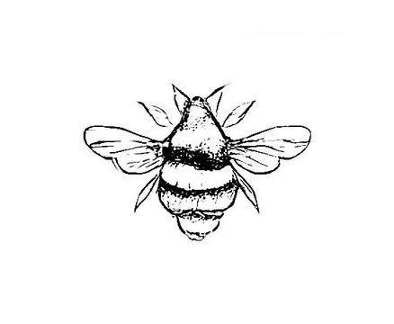 Blackwork Mini Flash 019