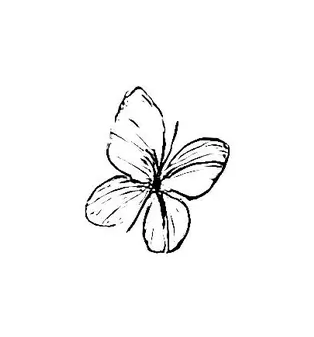 Blackwork Mini Flash 020
