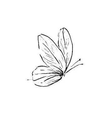 Blackwork Mini Flash 023