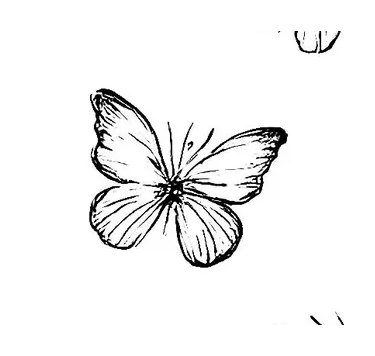 Blackwork Mini Flash 025