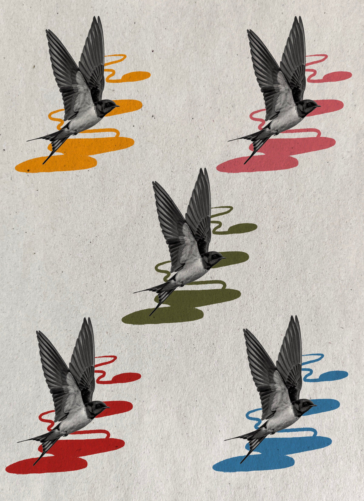 Flying swallow flash sheet with colorful brushstroke backgrounds by Solin