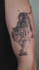 Zero tattoo process video - Videos_20260608221109