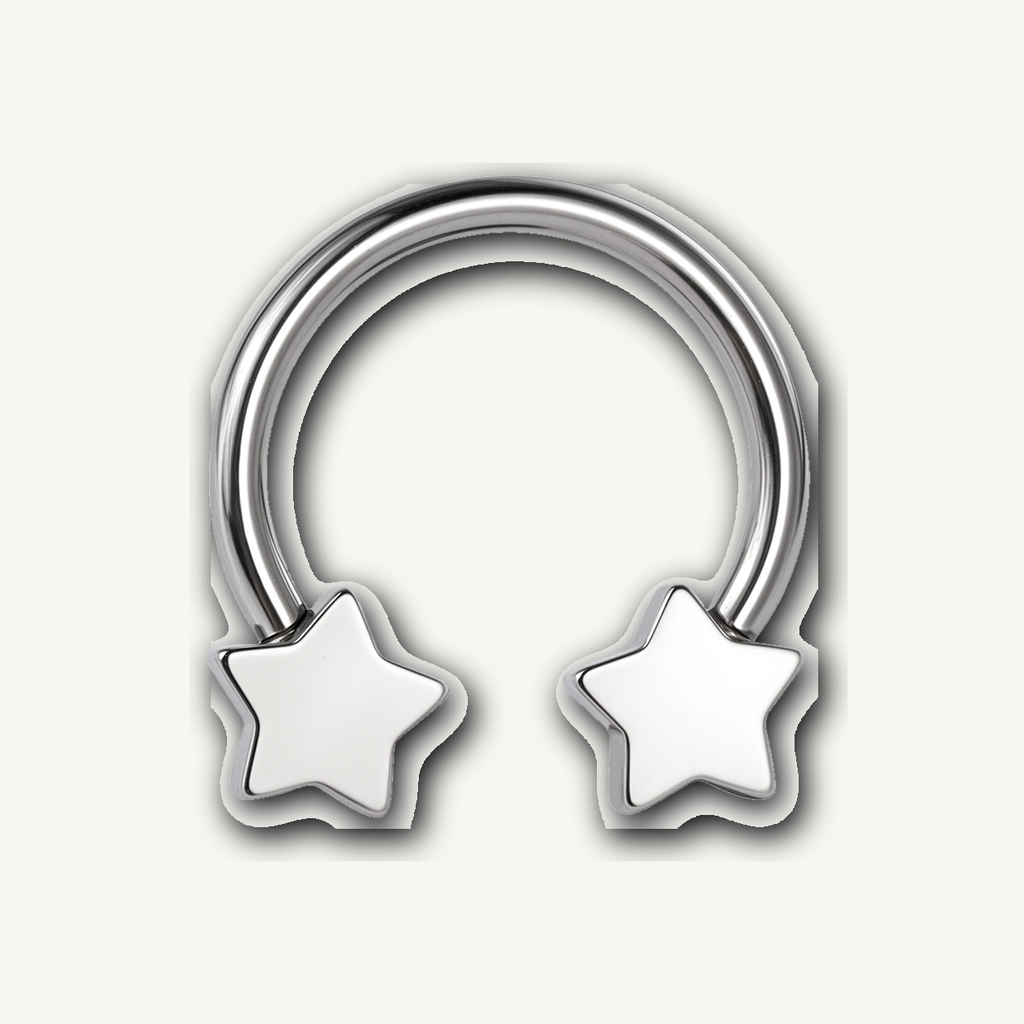 Implant Grade Titanium - Horseshoe - Silver - 16G (1.2 x 10 mm) - product view