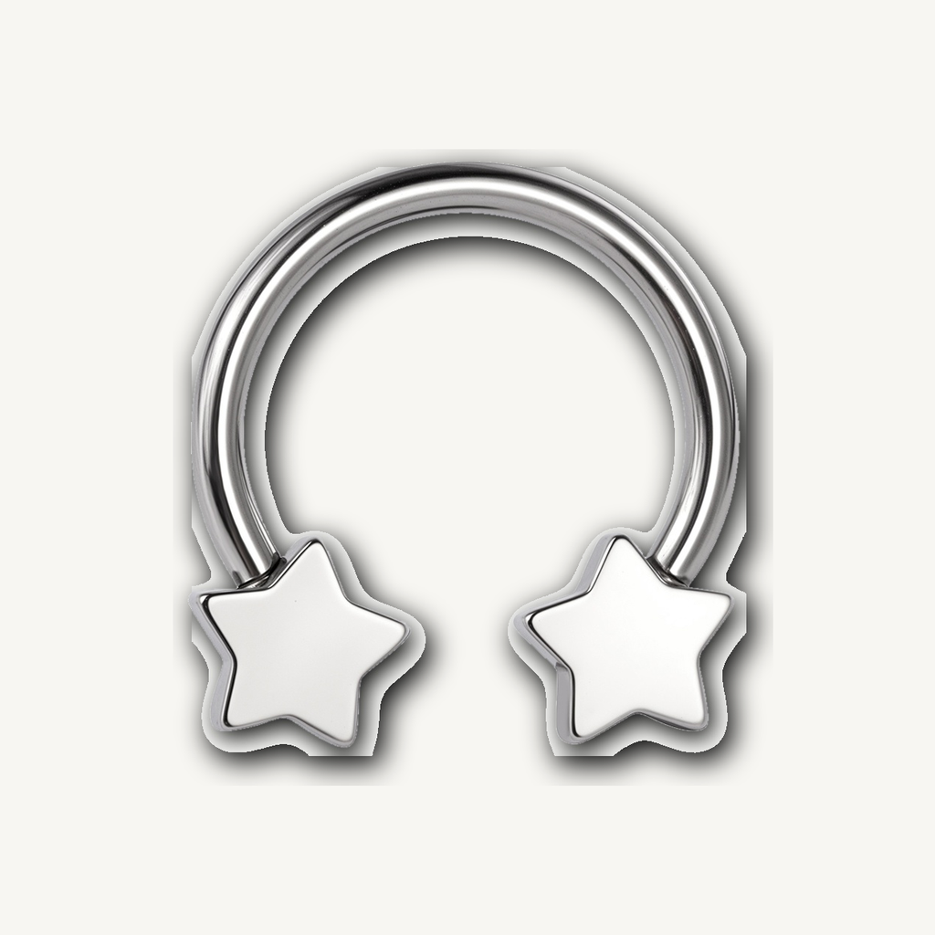 Implant Grade Titanium - Horseshoe - Silver - 16G (1.2 x 10 mm) - detail view