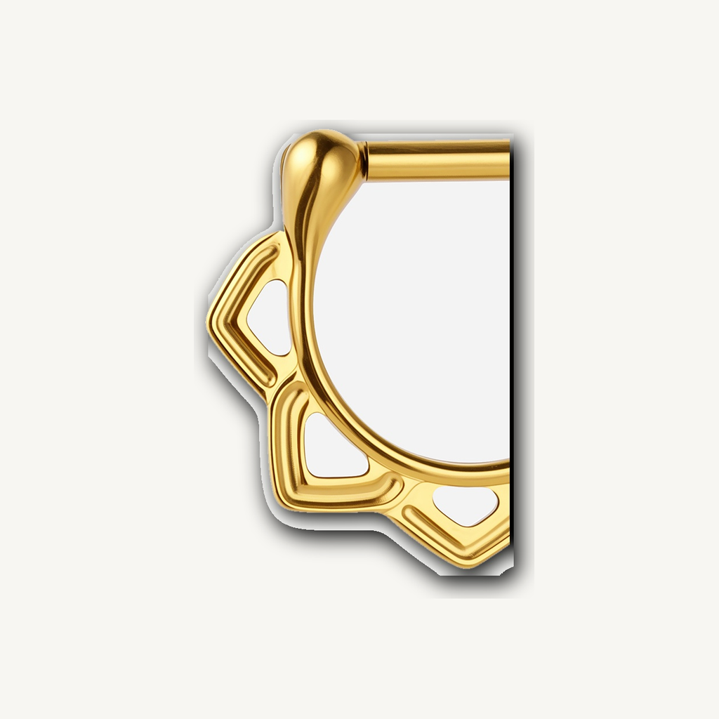 Implant Grade Titanium - Septum Ring - Gold - 16G (1.2 x 6 mm) - detail view