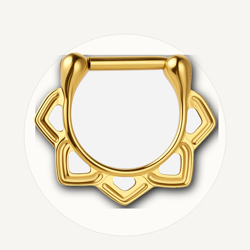 Implant Grade Titanium - Septum Ring - Gold - 16G (1.2 x 6 mm) - styling view