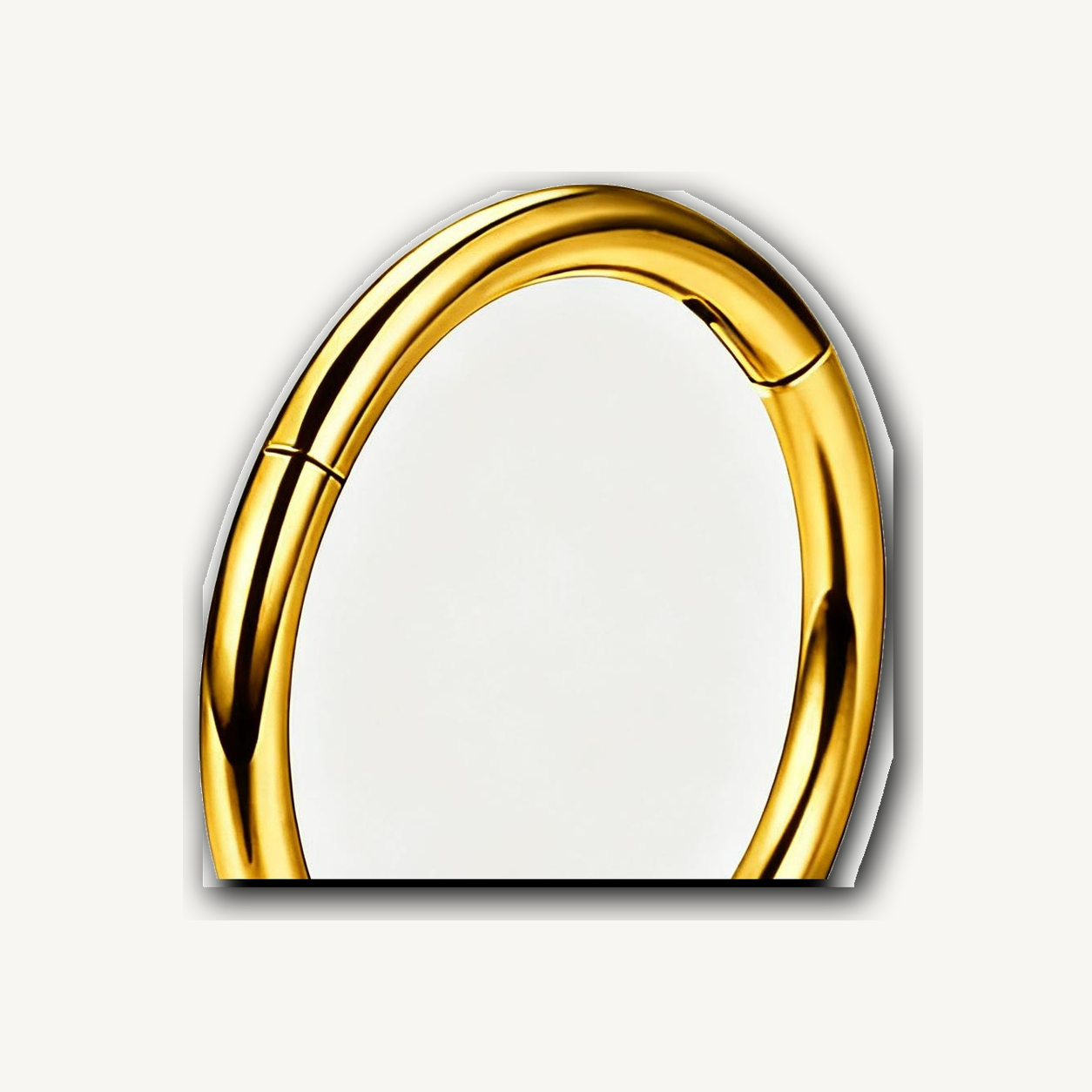 Implant Grade Titanium - Segment Ring - 24K Gold - 18G (1.0 x 12 mm) - detail view