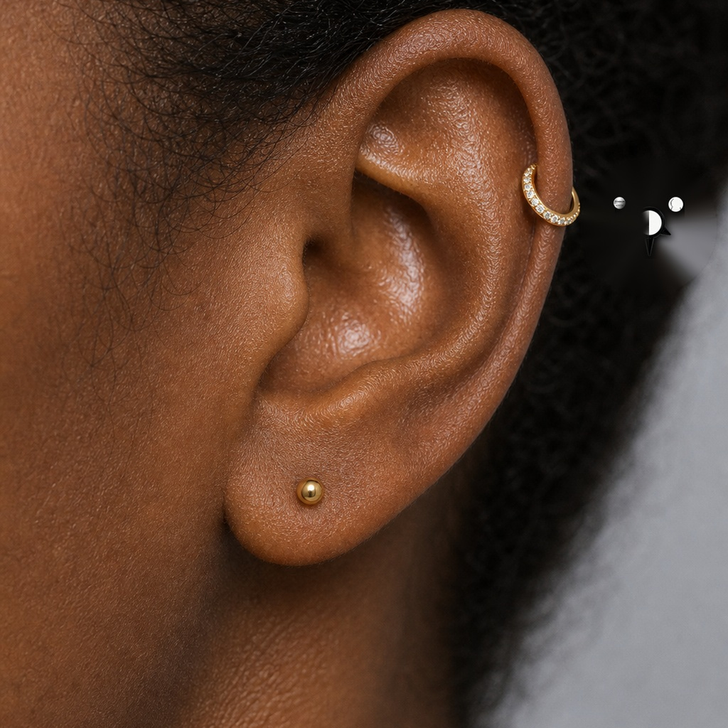 Implant Grade Titanium - Segment Ring - Black - 16G (1.2 x 8 mm) - model wear view