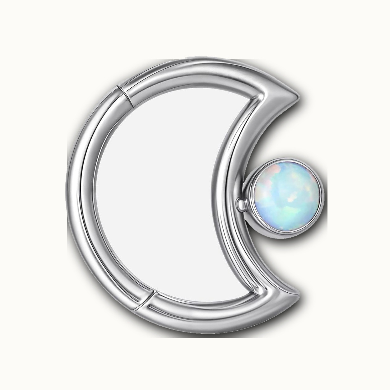 Implant Grade Titanium - Segment Ring - Silver - SW234 - 16G (1.2 x 10 mm) - product view