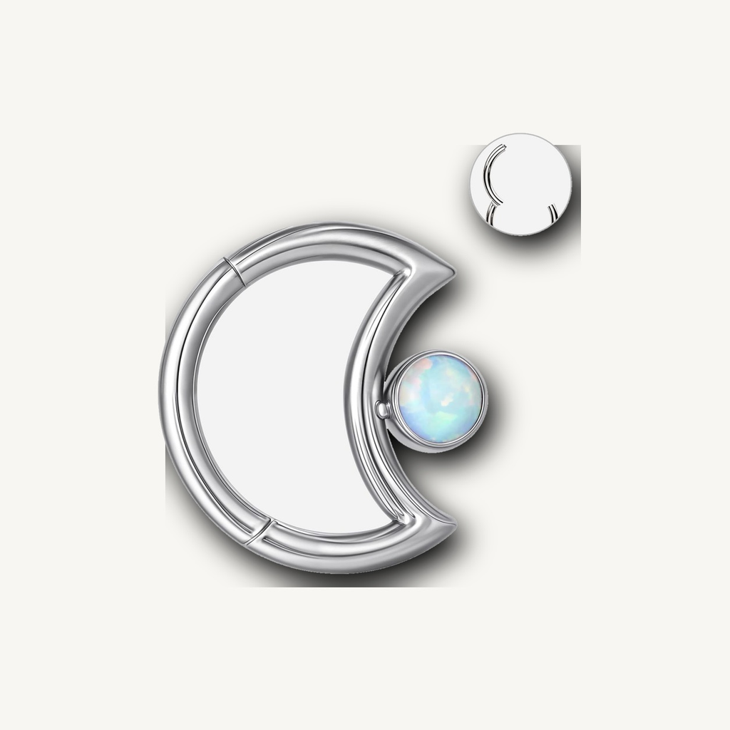 Implant Grade Titanium - Segment Ring - Silver - SW234 - 16G (1.2 x 10 mm) - detail view